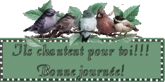 Gif animé bonne journée oiseaux